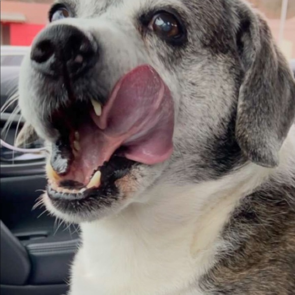 Meet your Posher, Patty - Picture 11 of 17